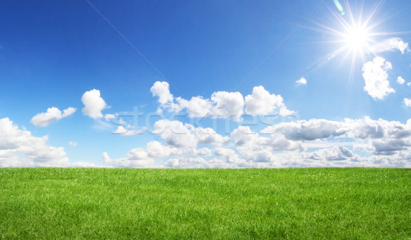 Verde campo cielo azul hermosa hierba verde cielo Foto stock © sdecoret