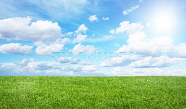 зеленый области Blue Sky красивой зеленая трава небе Сток-фото © sdecoret