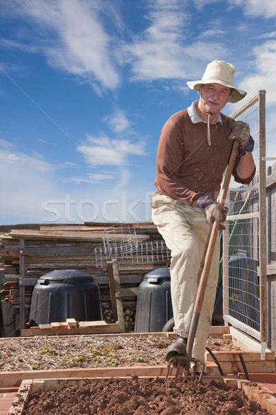 Stock photo: Backyard Gardening