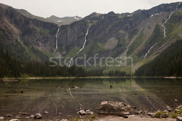 Avalanche Lake Headwall Stock photo © searagen