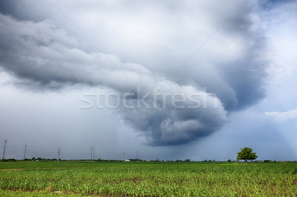 Tempête nuage maïs domaine cercle central [[stock_photo]] © searagen