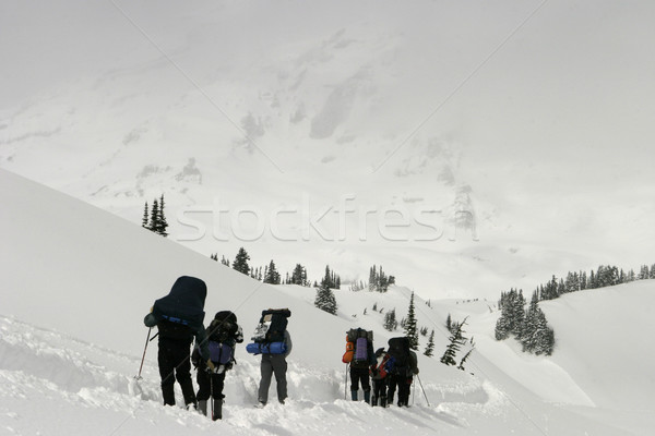 Climbing Into The Mist Stock photo © searagen