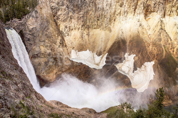 Gorge At Lower Yellowstone Falls Stock photo © searagen