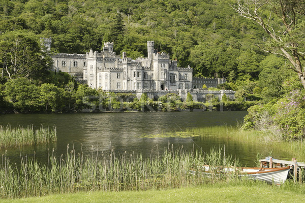 Irish Landschaft Burg See Residenz Adel Stock foto © searagen