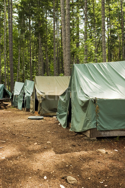Tents At Summer Camp Stock photo © searagen