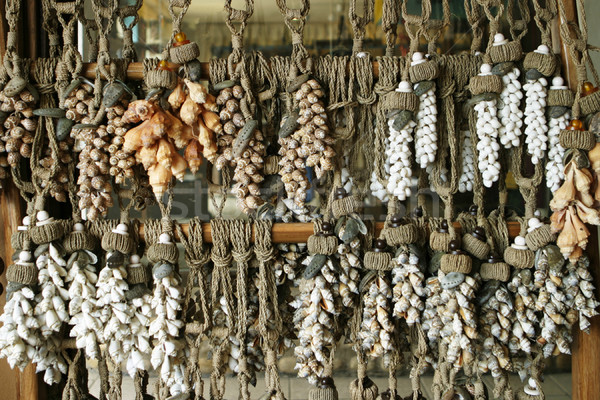 Seile Muscheln Markt Display tropischen Strand Mexiko Stock foto © searagen