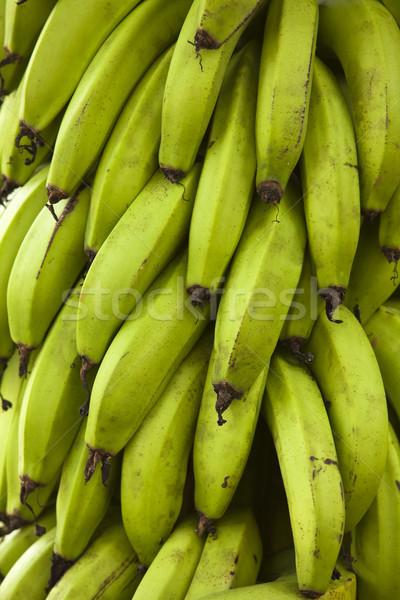 Stock photo: Bunch of Green Bananas