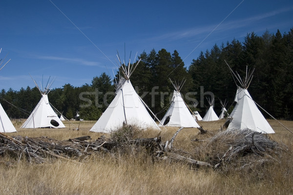 Dorf wenig Ureinwohner Rand Wald Stock foto © searagen