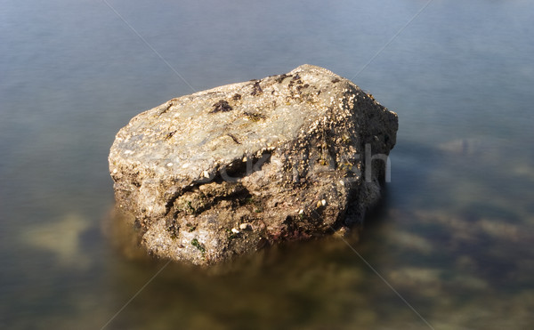 Boulder In Still Water Stock photo © searagen