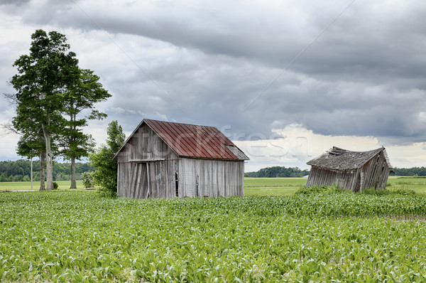 Deux ferme Ohio vieux patiné stand Photo stock © searagen