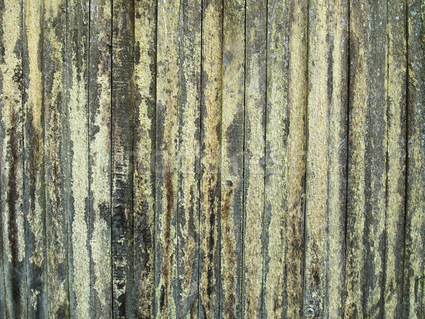 Wood Fence With Lichen Stock photo © searagen