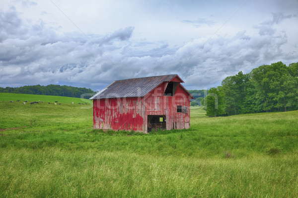 Rot Scheune Ohio Bereich grasbewachsenen Stock foto © searagen