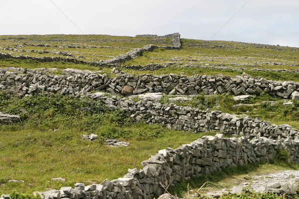 Piatră pereţi Irlanda distinct domenii Imagine de stoc © searagen