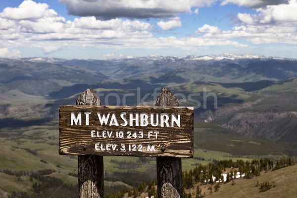 Mt. Washburn, Yellowstone Park Stock photo © searagen