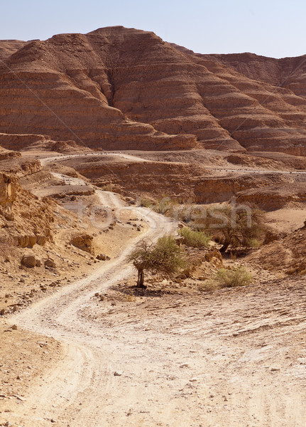 ストックフォト: 道路 · 砂漠 · 丘 · 赤 · 砂岩 · 谷