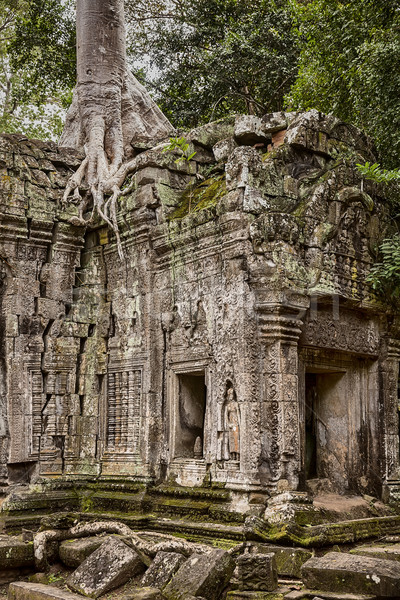 Ta Prohm Jungle Temple Stock photo © searagen