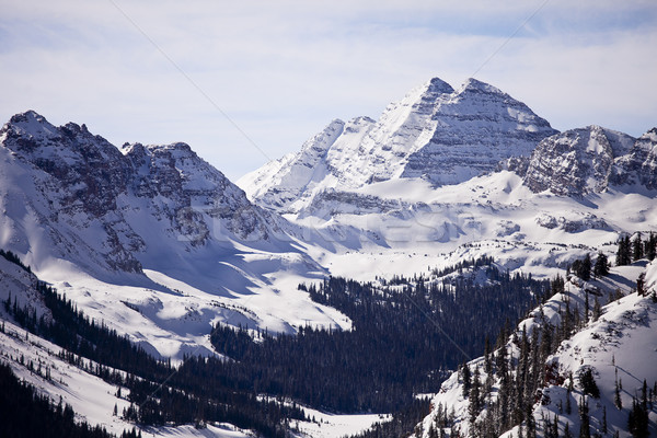 Kasztanowaty zimą widoku górskich Colorado drzew Zdjęcia stock © searagen
