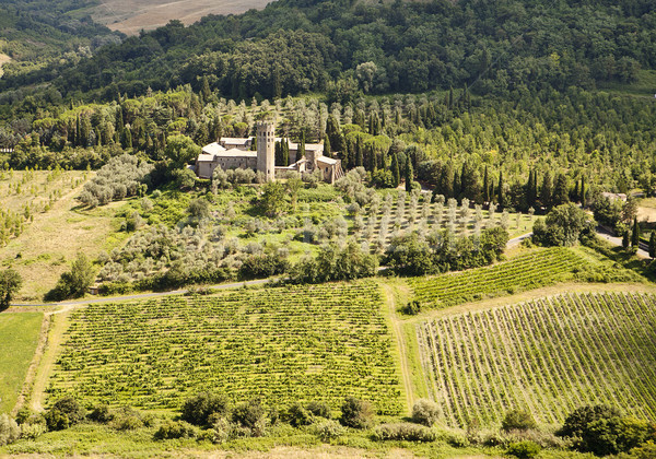 Vineyards and Estate In Umbria Stock photo © searagen