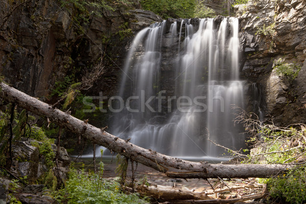 Twin Wasserfall senken Teil Gletscher Park Stock foto © searagen