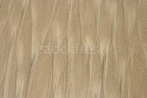 Beach Sand Background Stock photo © searagen