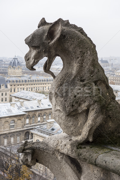 Notre Dame-katedrális híres elöl homlokzat hölgy lény Stock fotó © searagen