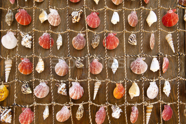 Wall Tapestry of Sea Shells Stock photo © searagen