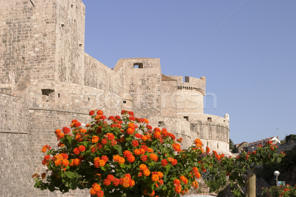 Dubrovnik City Walls and Fortress Stock photo © searagen