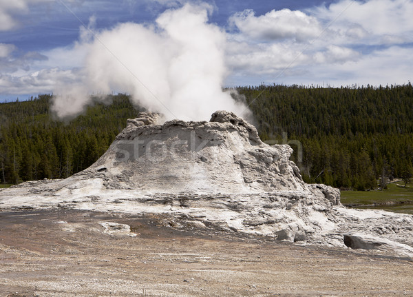 Château geyser une volcanique parc Photo stock © searagen