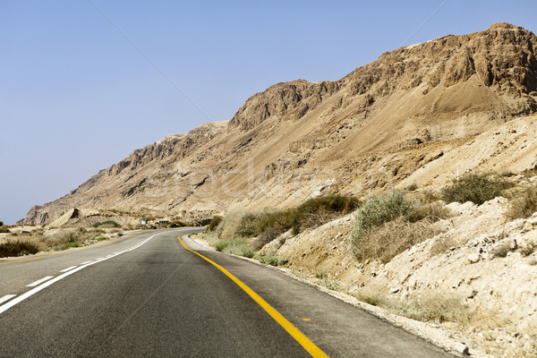 Dead Sea Mountains Stock photo © searagen