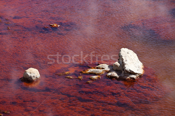Gejzer gorące źródło parku głęboko czerwony Zdjęcia stock © searagen