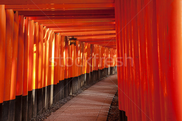 Percorso visitatori lungo corridoio verniciato rosso Foto d'archivio © searagen