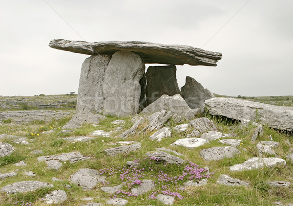 Stone Table With Flowers Stock photo © searagen
