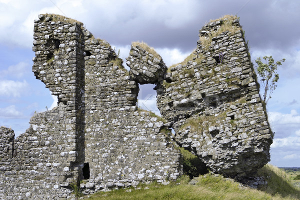 Ruins of Clonmacnoise Castle Stock photo © searagen