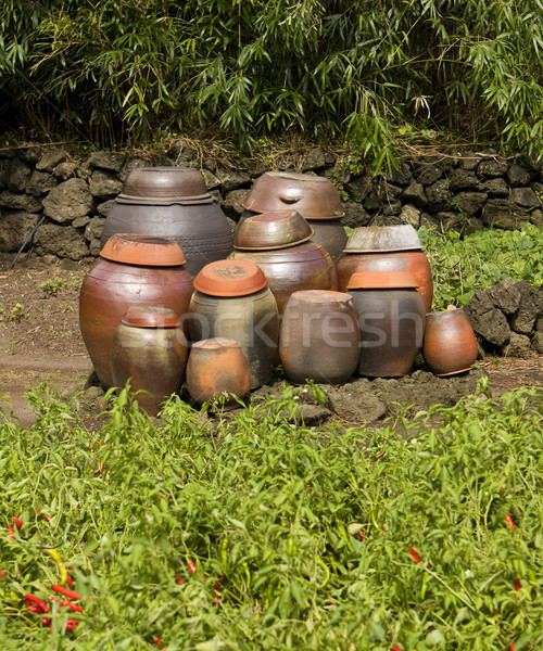 Clay Kimchi Pots Stock photo © searagen