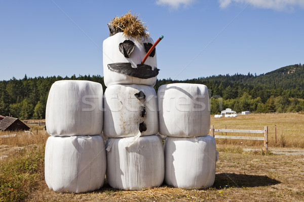 Hay Bale Snowman In Summer Stock photo © searagen