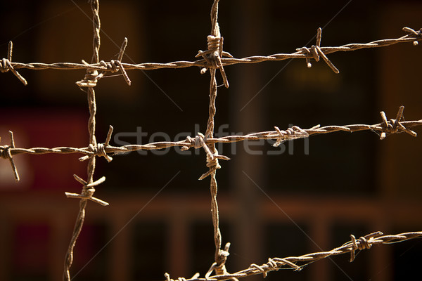 Sârmă ghimpată gard împreună formă una clădirilor Imagine de stoc © searagen