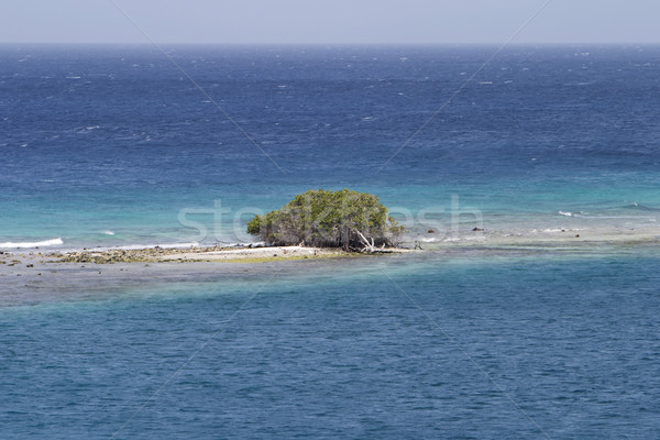 Desert Island Stock photo © searagen