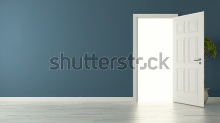opened american door with blue wall and reflective floor Stock photo © sedatseven
