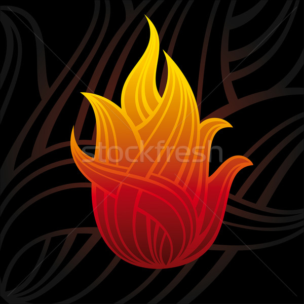 Abstract vector symbool brand vlam natuur Stockfoto © SelenaMay