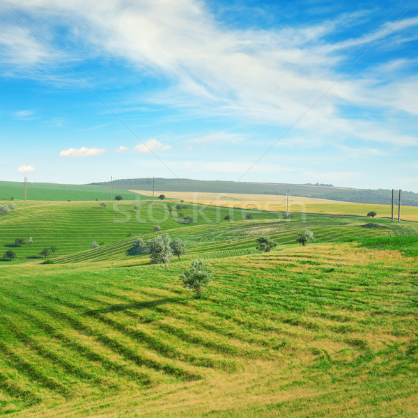 [[stock_photo]]: Terrain · terrasse · ciel · bleu · nuages · arbre · nature