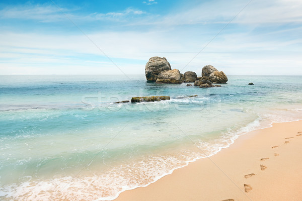 large rock in the ocean Stock photo © serg64