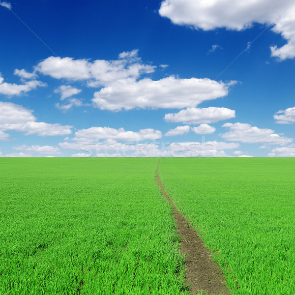 pathway Stock photo © Serg64