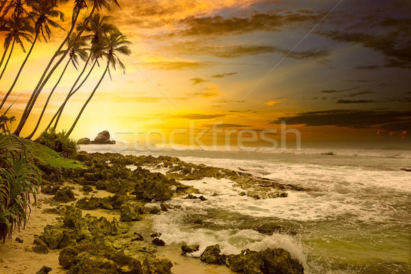 Foto stock: Fantástico · puesta · de · sol · océano · agua · sol · fondo