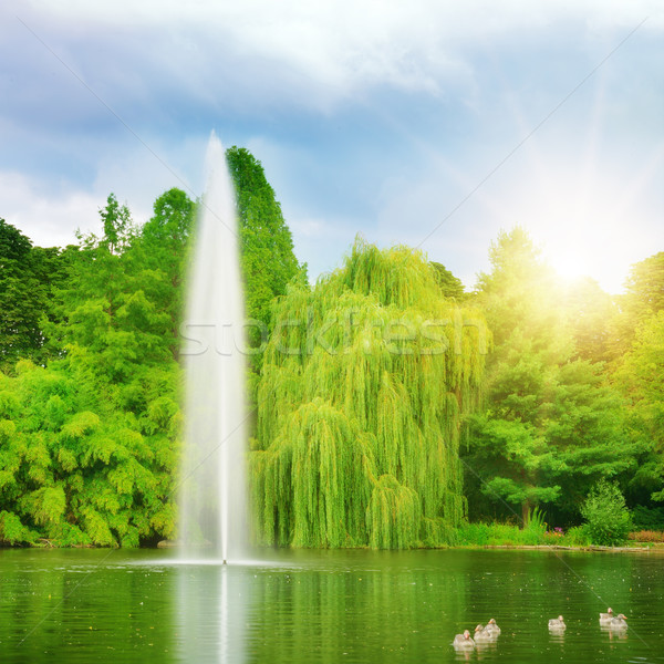 [[stock_photo]]: Fontaine · lac · ciel · eau · printemps