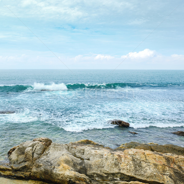 coastline of the Indian Ocean Stock photo © serg64