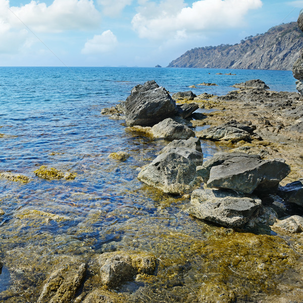 Stock photo: Rock in the ocean 