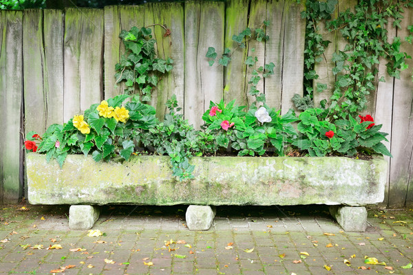 Flower bed near board fence Stock photo © Serg64