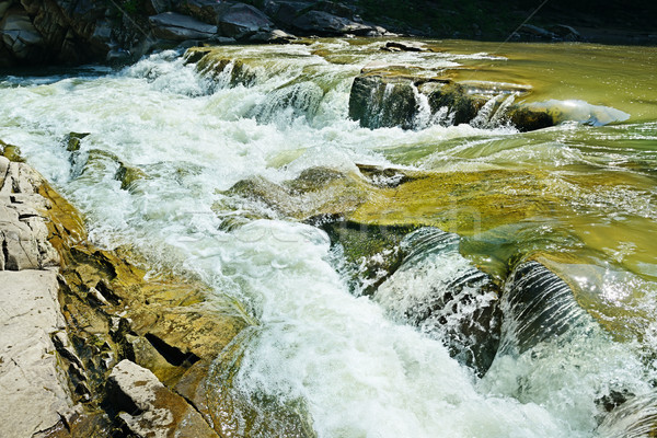 Wodospad górskich rzeki wiosną drewna krajobraz Zdjęcia stock © serg64