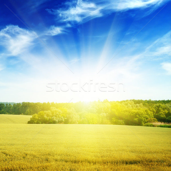 Stock foto: Bereich · beleuchtet · Sonne · Himmel · Wolken · Frühling