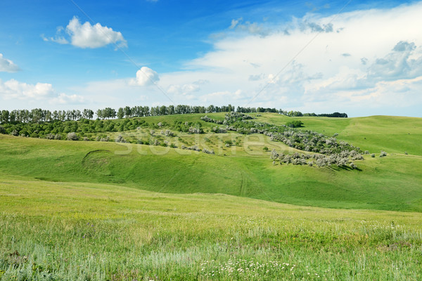 Foto stock: Terreno · cielo · azul · cielo · primavera · hierba · madera